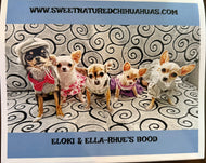 2027 Chihuahua Calendars