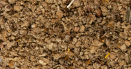 Mullein Flowers Herb, Organic 10g