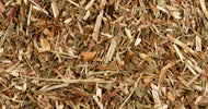Echinacea Root 10g