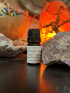 Eucalyptus Essential Oil 5ml