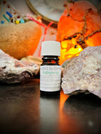 KidSynergy 5ml