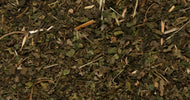 Nettle Leaf 10g