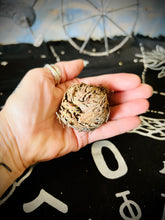 Load image into Gallery viewer, Small Rose Of Jericho (Resurrection Plant)
